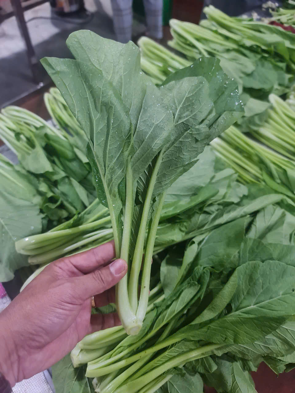 Thầu nấu tại chỗ